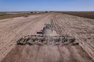 02 Fallow Master Orthman